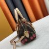 69306dd46e68136f4d9a5556 Upgraded Original Cherry 🍒 M13094 M46234 M46222 Sedy Bandoulière 20 Handbag