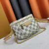 Mini Bumbag from LV Gradient Collection