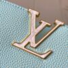693079a16e68136f4d9a6b8b Upgraded M20841 Stellar Pearl Green Shell Button Capucines MM Handbag