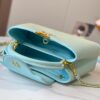 693079a36e68136f4d9a6b8f Upgraded M20841 Stellar Pearl Green Shell Button Capucines MM Handbag