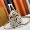 69307b196e68136f4d9a6dee M17089 M40391 Louis Vuitton Cherry Series Handbag from 2005, Designed by Takashi Murakami