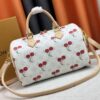 69307b1a6e68136f4d9a6df1 M17089 M40391 Louis Vuitton Cherry Series Handbag from 2005, Designed by Takashi Murakami