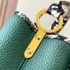 69307b986e68136f4d9a6ed8 Exclusive On-Site Photo - Upgraded M95509 CAPUCINES Mini Bag