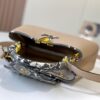 69307b9e6e68136f4d9a6ee1 Exclusive On-site Photo - Upgraded M95508 CAPUCINES Small Handbag