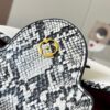69307bb76e68136f4d9a6f07 Exclusive On-Site Photo - Upgraded M95508 CAPUCINES Small Handbag