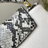 69307bbd6e68136f4d9a6f11 Exclusive On-Site Photo - Upgraded M95509 CAPUCINES Mini Bag