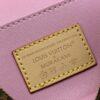 69307bfe6e68136f4d9a6f7d Takashi Murakami x LV Nice Mini Nano Pouch in Monogram Multicolour