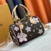 69307c946e68136f4d9a709e Upgraded Original M13805 M13257 M40390 M46234 LV x Murakami Collaboration Cherry Blossom 🌸 Nano Speedy Bag
