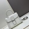 693080da6e68136f4d9a7913 Luxuriously Unveiled 🔥 Crocodile-Embossed MM Size by Delvaux