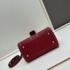 Delvaux 2024 Spring-Summer Exposed Stitching Collection