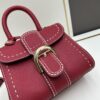 Delvaux 2024 Spring-Summer Exposed Stitching Collection