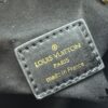 693084ab6e68136f4d9a8119 Authentic M46881 LV Pillow from Louis Vuitton Runway Collection