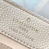 693084f26e68136f4d9a8195 Upgraded M23943 Capucines Mini Bag