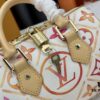 6930852a6e68136f4d9a820a M46234 M11209 Summer Red Printed Pillow Bag Speedy Collection Latest Seasonal SPEEDY BANDOULIÈRE 20 Handbag M11461
