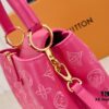 Upgraded M20742 Broderie Anglaise Embroidered Gold Button Capucines BB Bag