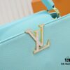 693086106e68136f4d9a8433 Upgraded M20841 Stellar Pearl Green Shell Button Capucines MM Handbag