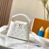 Upgraded M20741 LV Broderie Anglaise Embroidered Gold Button Capucines Mini Bag