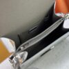 693089c86e68136f4d9a8bd4 Daphne Gold Silver 💥 Louis Vuitton 2025 Spring Mailbox Bag M43599/44391/44580 Color Latest Version Shipment Métis Clutch