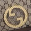 Gucci Blondie Series - Model 699210 Brown