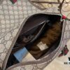 69308c536e68136f4d9a90f1 GG Messenger Bag in Beige and Ebony GG Supreme Canvas