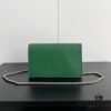 69308c866e68136f4d9a9152 Gucci Dionysus Mini 16.5 Real Photo # With Box