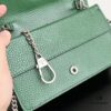 69308c886e68136f4d9a9156 Gucci Dionysus Mini 16.5 Real Photo # With Box