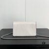 69308c906e68136f4d9a9166 Gucci Dionysus Mini 16.5 Real Photo # with Box