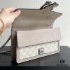 69308ceb6e68136f4d9a9224 Gucci Dionysus Diamond Buckle Bag - Oatmeal Model 499623, Size 25x14x8cm