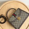 69308d886e68136f4d9a9338 Gucci Ophidia Series Epilogue Collection Tote Bag with Detachable Strap