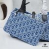 Small Dior Toujours Bag