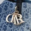 Large Dior Toujours Bag