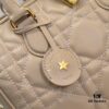 693093396e68136f4d9a9e10 Dior Groove .25 Handbag