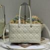 693094ac6e68136f4d9aa0af Top-Grade Original Dior Stills Handbag