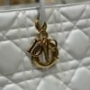 693094ac6e68136f4d9aa0b1 Top-Grade Original Dior Stills Handbag
