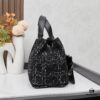 Dior Toujours Medium Bag