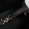 Dior Toujours Medium Bag