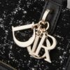 Dior Toujours Medium Bag
