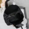 Dior Toujours Medium Bag