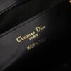 Dior Toujours Medium Vertical Handbag in Blush Beige Calfskin Leather