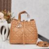 693095fb6e68136f4d9aa34c Medium Dior Toujours Vertical Handbag in Blush Beige Calfskin Leather
