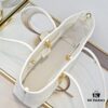 693096cc6e68136f4d9aa50c Top-Grade Original Dior Toujours Handbag