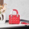 693097736e68136f4d9aa663 Lady Dior Small Three-Compartment Bag with Silk Scarf