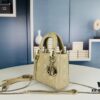 693097916e68136f4d9aa69c Lady Dior Small Three-Compartment Handbag with Silk Scarf