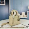 693097916e68136f4d9aa69d Lady Dior Small Three-Compartment Handbag with Silk Scarf