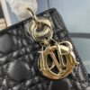 693097b96e68136f4d9aa6ed Lady Dior Small Three-Compartment Bag with Silk Scarf