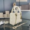 693097c56e68136f4d9aa706 Lady Dior Small Three-Compartment Handbag with Silk Scarf