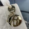 693097c66e68136f4d9aa708 Lady Dior Small Three-Compartment Handbag with Silk Scarf