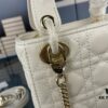 693097c76e68136f4d9aa709 Lady Dior Small Three-Compartment Handbag with Silk Scarf