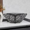 693098066e68136f4d9aa788 2025 Spring New Dior 8 Waist Bag with Box - King of Value for Money
