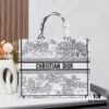 Embroidered Large [Di0r Book Tote]